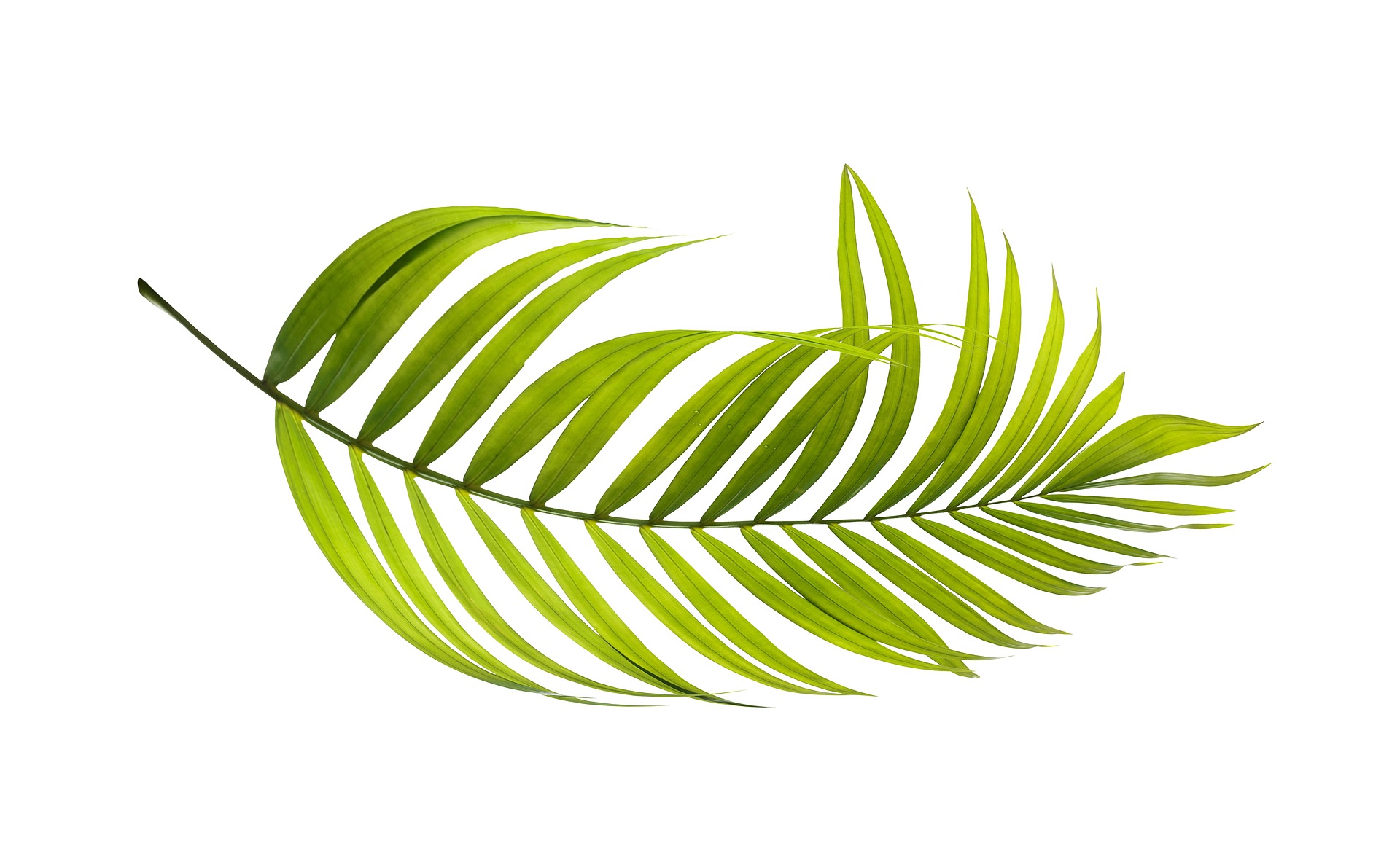 烟台百度推广新站如何快速通过长尾词获取流量?